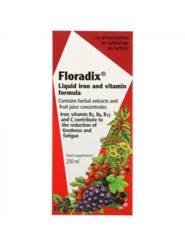 FLORADIX LIQUID IRON 250ML